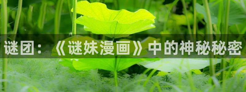 韩漫画免费无删减：谜团：《谜妹漫画》中的神秘秘密