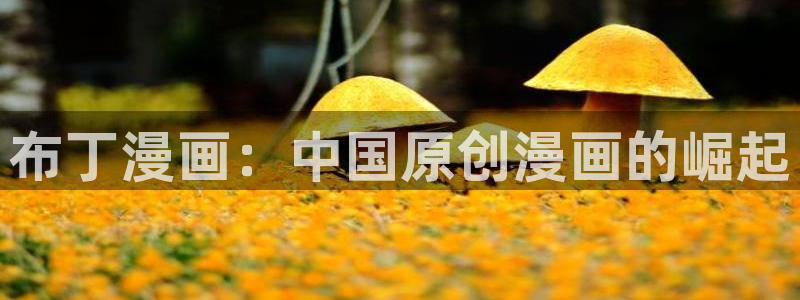 魔咒韩漫无删减免费看：布丁漫画：中国原创漫画的崛起