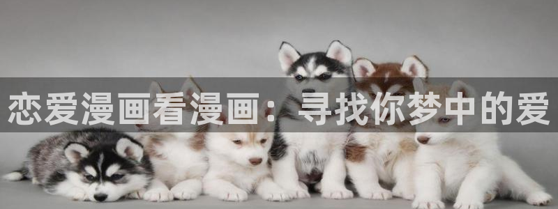羞羞的漫画韩漫：恋爱漫画看漫画：寻找你梦中的爱