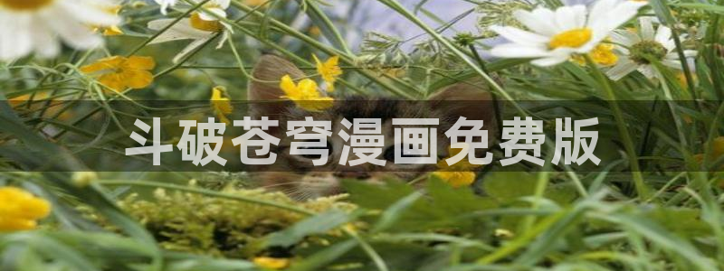 协议换爱韩漫画：斗破苍穹漫画免费版