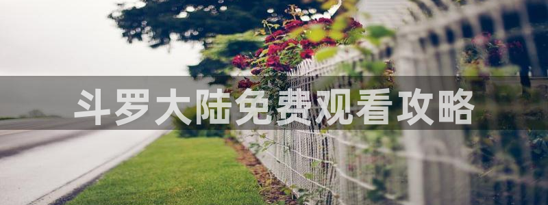 超级公务员韩漫全集下拉式漫画：斗罗大陆免费观看攻略