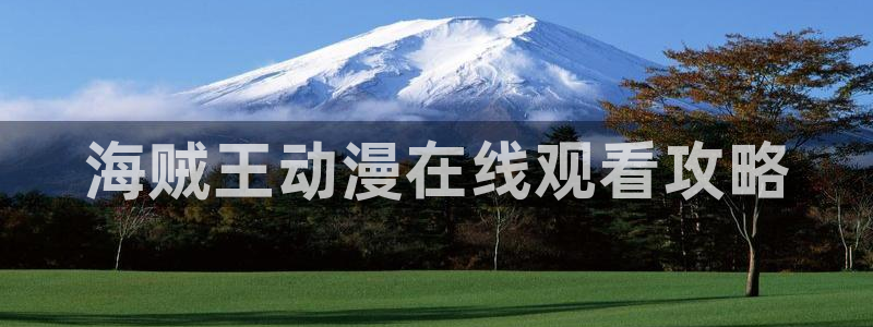 韩漫在线入口免费：海贼王动漫在线观看攻略