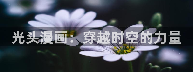 韩国漫画登录韩漫：光头漫画：穿越时空的力量